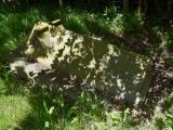 image of grave number 696916